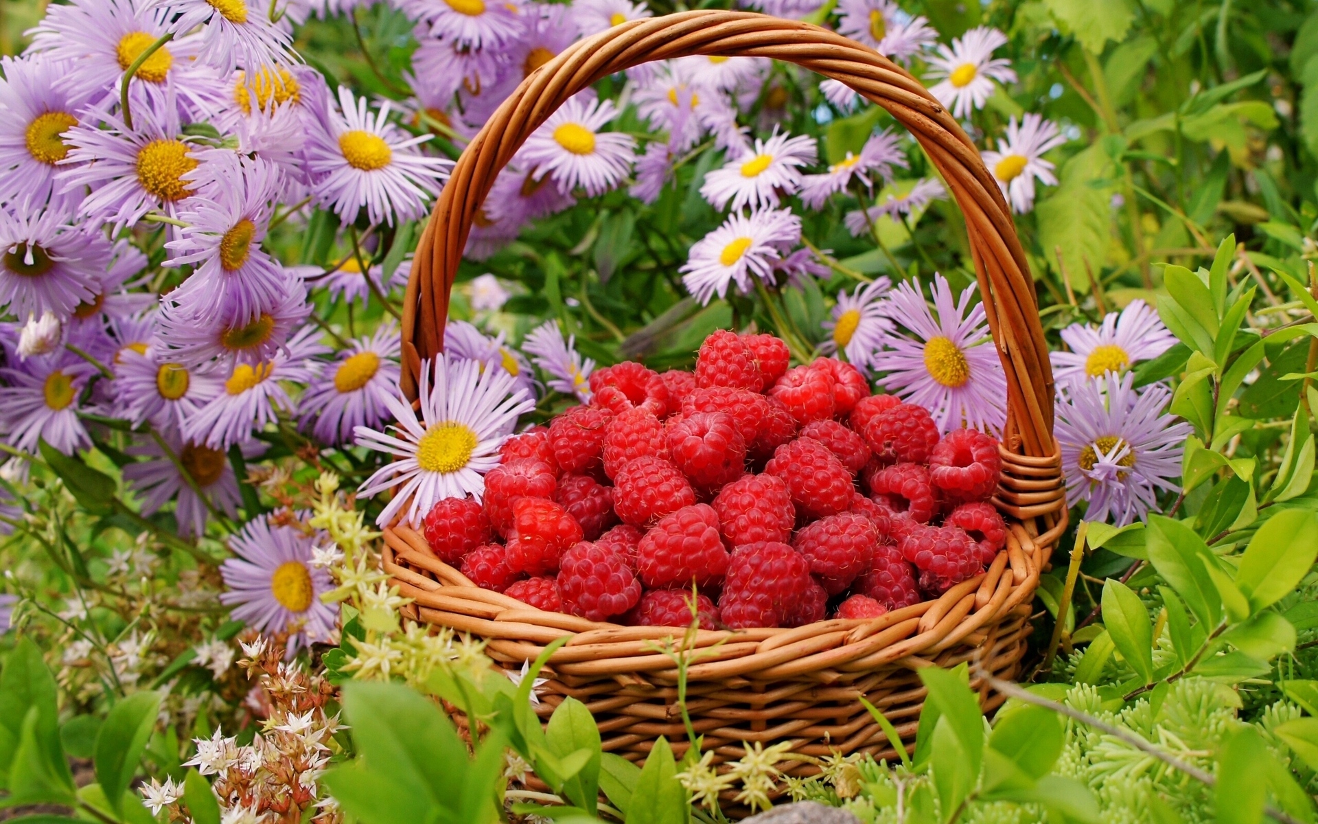 Food 33